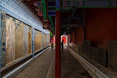 《宝可梦：晶灿钻石＆明亮珍珠》任天堂商店页面上线 售价429港币